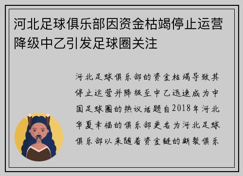 河北足球俱乐部因资金枯竭停止运营降级中乙引发足球圈关注 河北足球俱乐部因资金枯竭停止运营降级中乙引发足球圈关注
